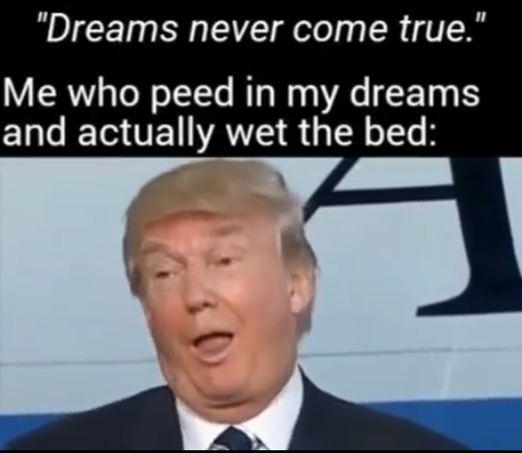 i never shit myself during a dream - meme