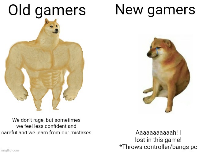 Gamers in a nutshell - meme