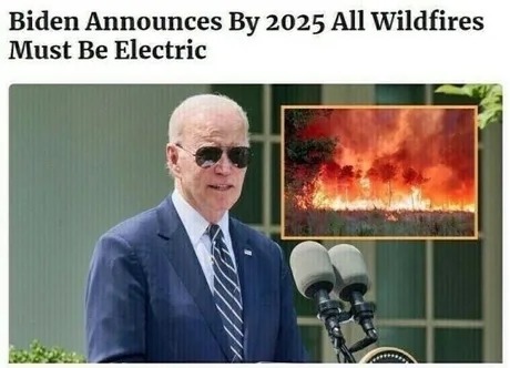 All wildfires must be electric - meme