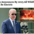 All wildfires must be electric