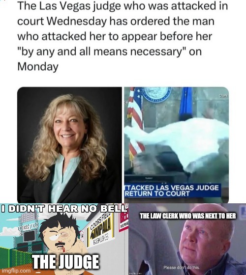 las vegas judge ordered a new appointment on court meme