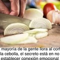 El secreto de cortar cebolla sin llorar