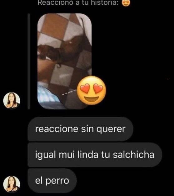 reaccioné sin querer a tu historia pero tu perro salchicha está facherito - meme