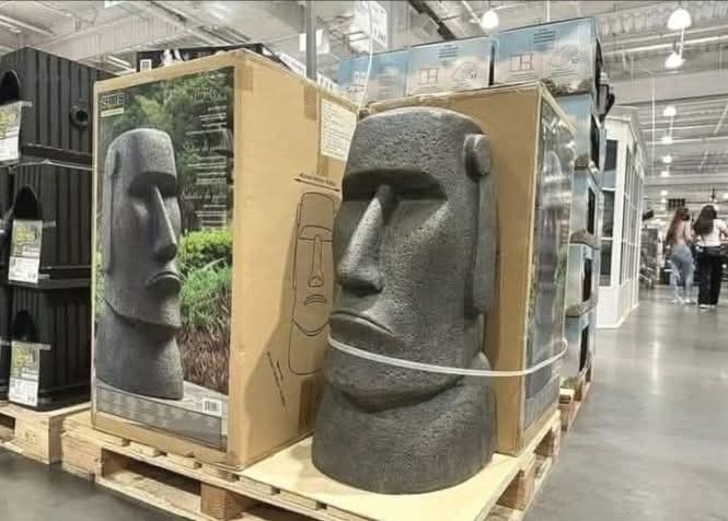 Rapa nui - meme