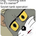 F in the chat for all the Soviet doggos