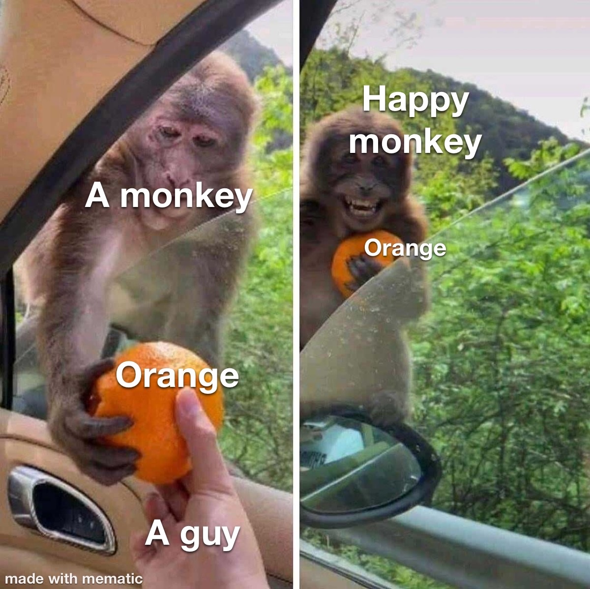 orange - meme