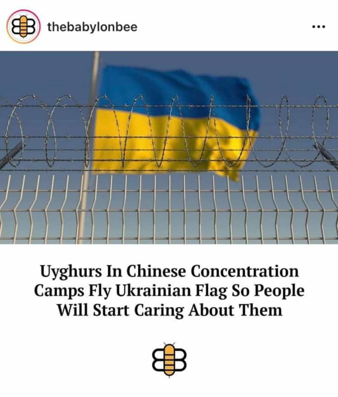 Uyghurs in Chinese concentration camps fly Ukrainian flag so people will start caring about them kek, SAVAGE BEE - meme