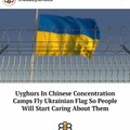 Uyghurs in Chinese concentration camps fly Ukrainian flag so people will start caring about them kek, SAVAGE BEE