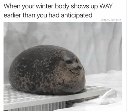 Winter Body Seal - meme