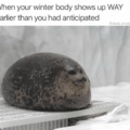 Winter Body Seal