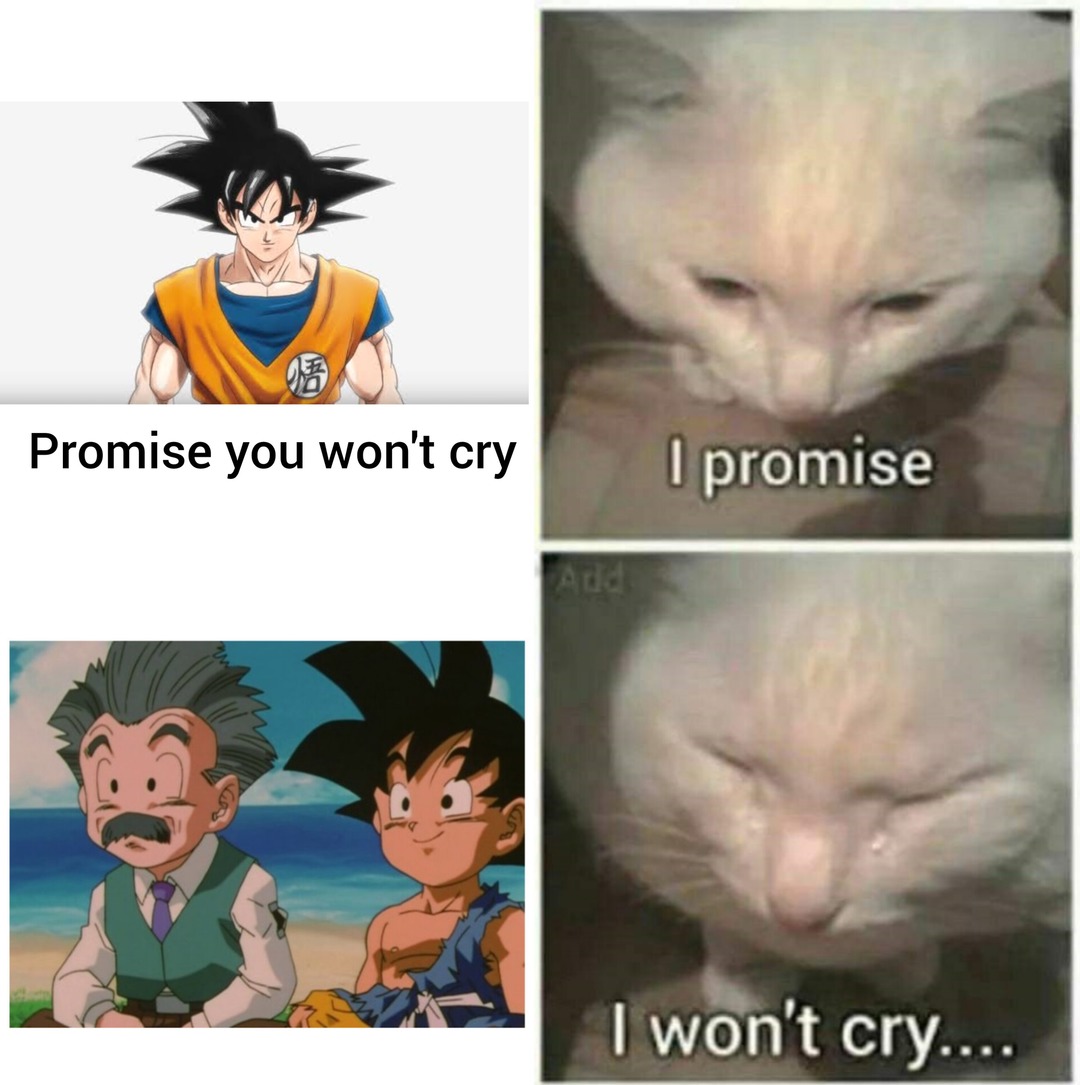 I promise, I won't cry - meme