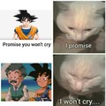 I promise, I won't cry