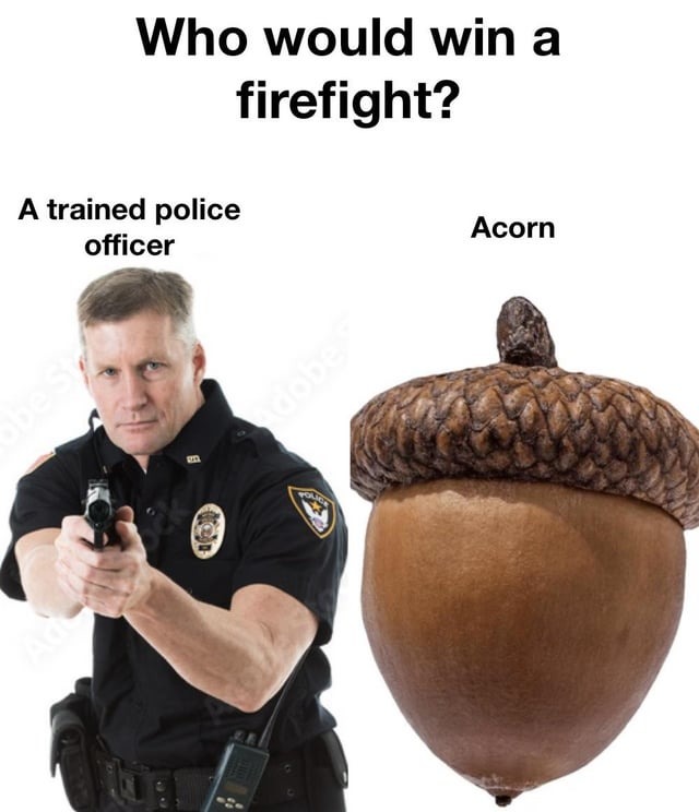 Acorn police meme