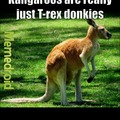 T. rex donkey