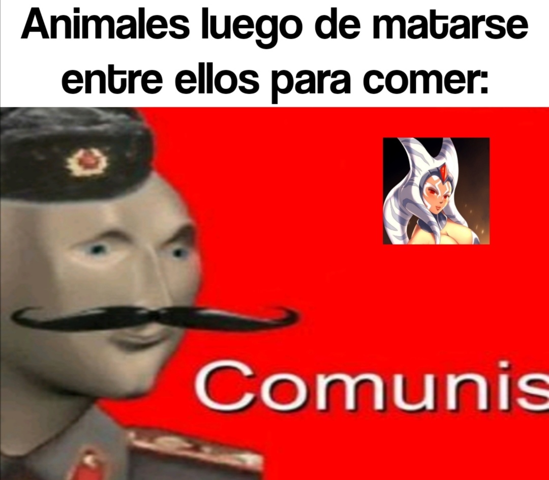 Comunis - meme
