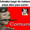 Comunis