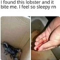 Fucking lobsters