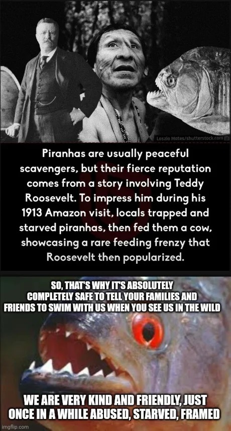 Roosevelt piranhas story - meme