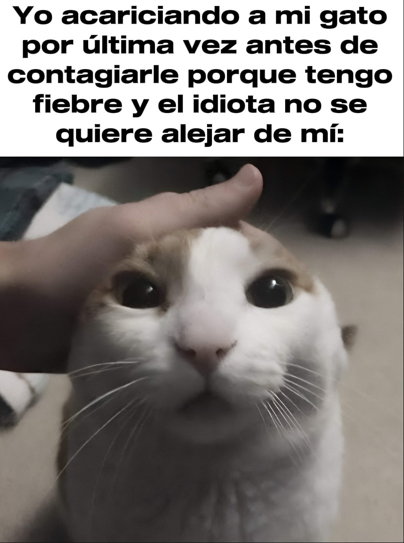 Pelotudo - meme