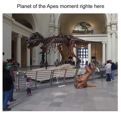 NOOOO - meme