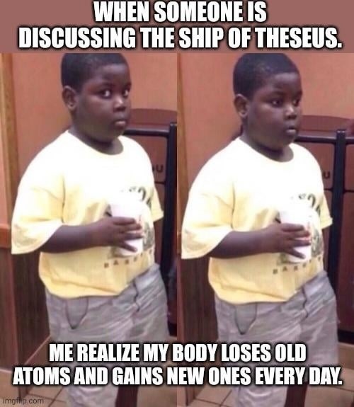 When you realize your body is the Ship of Theseus - meme