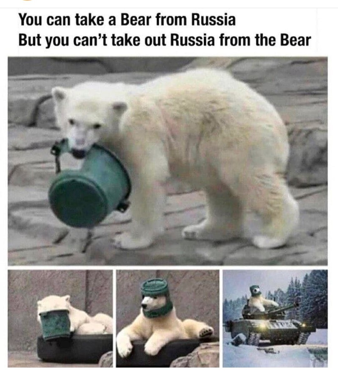 Russian bear - meme
