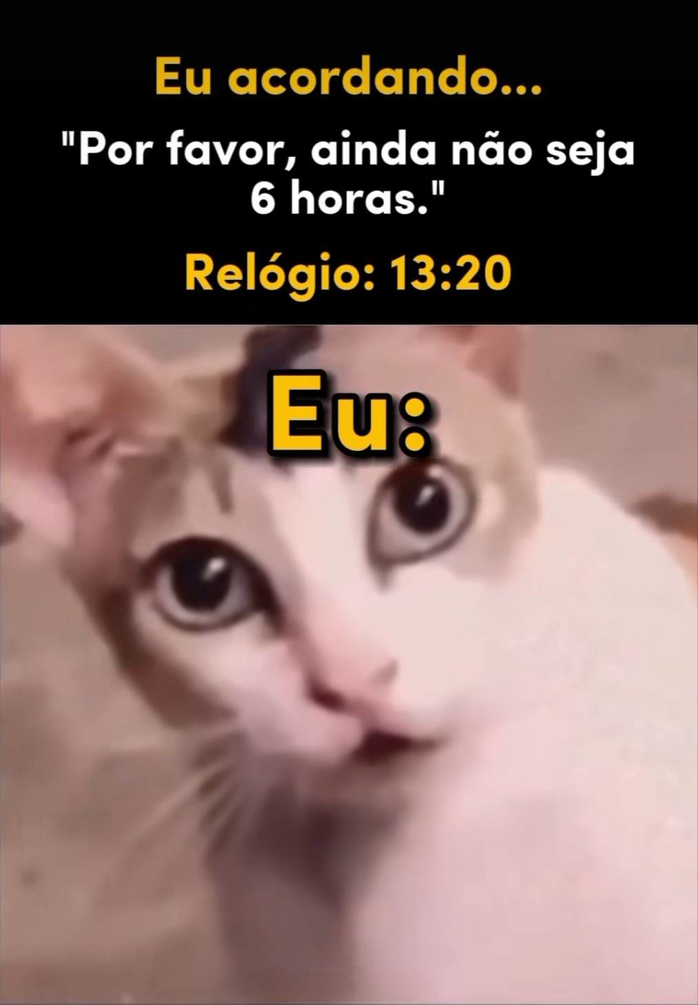 Pelo menos não são 6 horas - meme