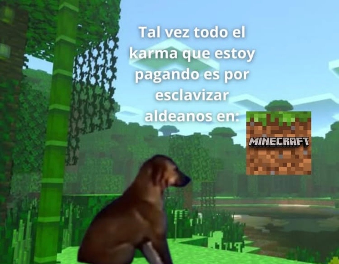 Tal vez mi karma es por lo que hice en Minecraft - meme