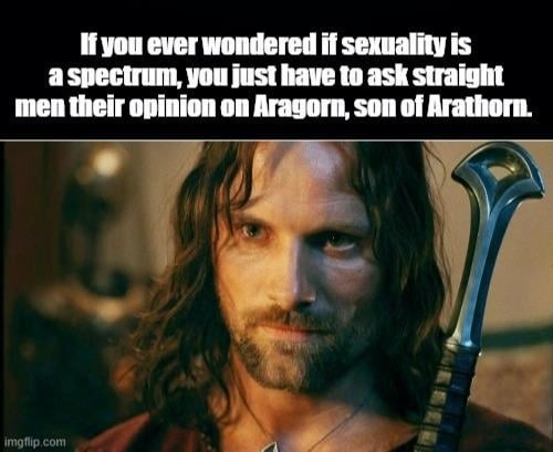 aragorn test - meme