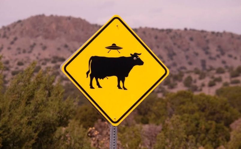 Beware of aliens abducting cows - meme