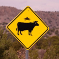 Beware of aliens abducting cows