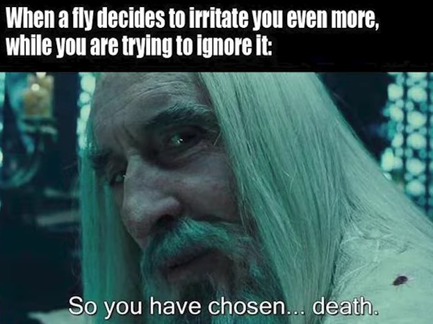 Time for the fly to die - meme