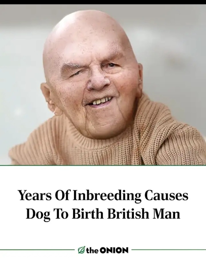 I hope it's not repost - meme