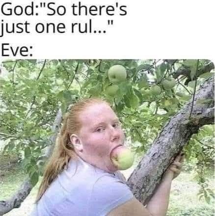 Fruit - meme