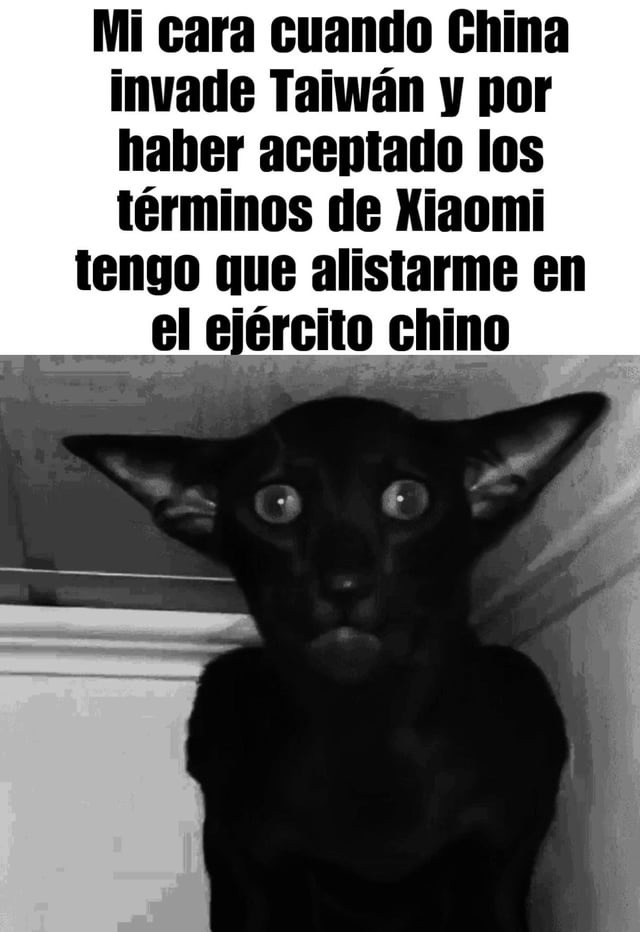elistado en el ejército chino - meme
