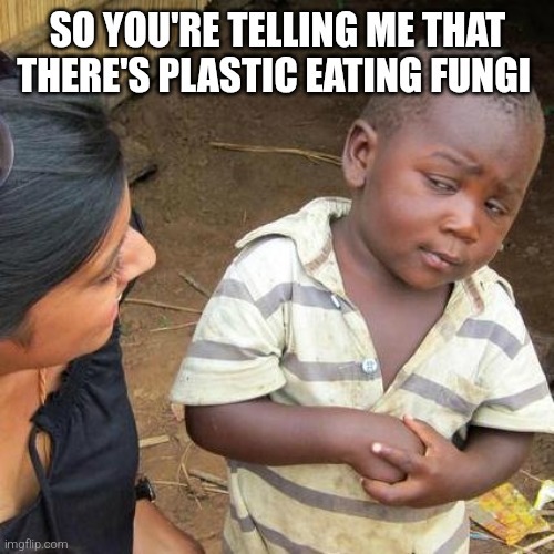 Fungi? - meme