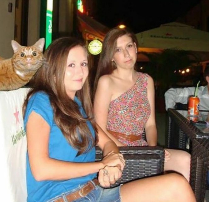 The cat is having a better time than either of these girls... - meme