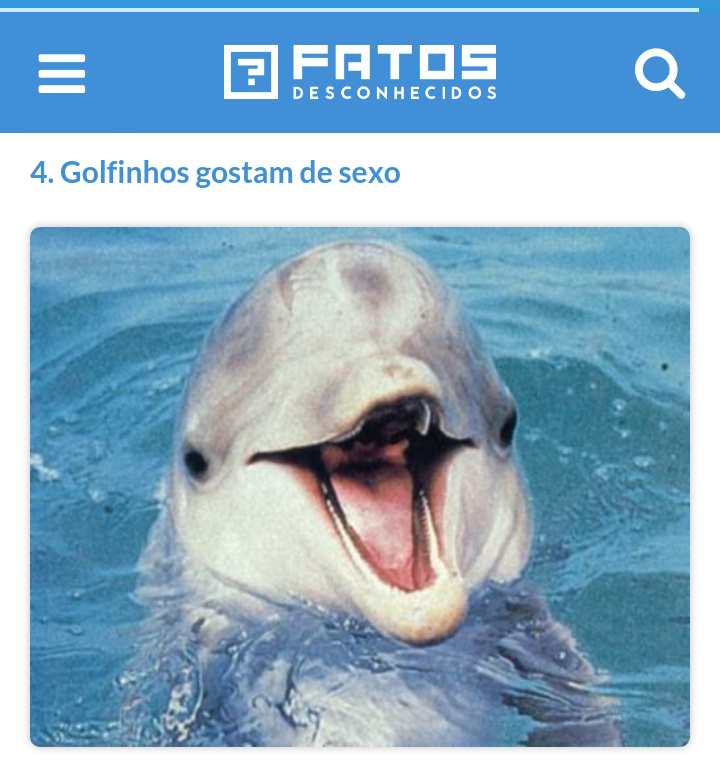 Curiosidades cetaceas - meme