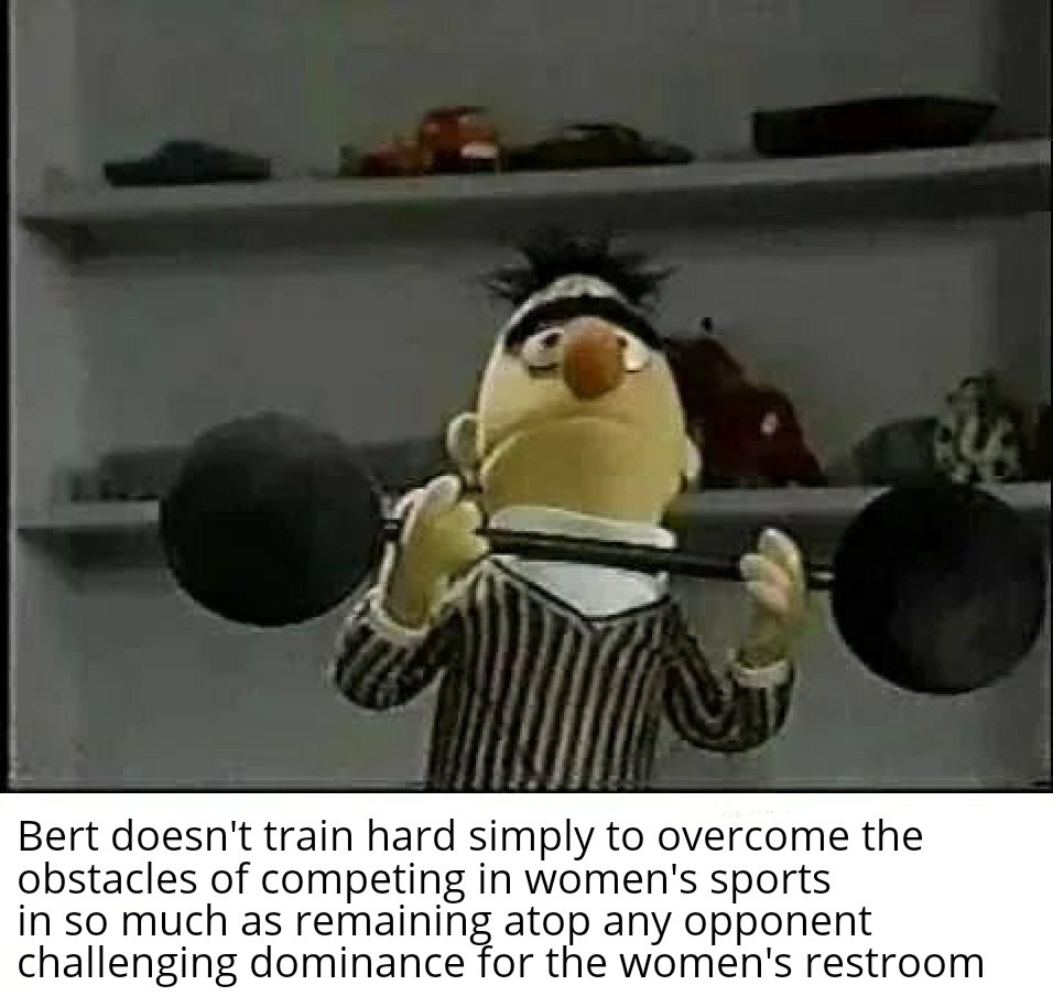Bathroom brawls is Bert's kink - meme