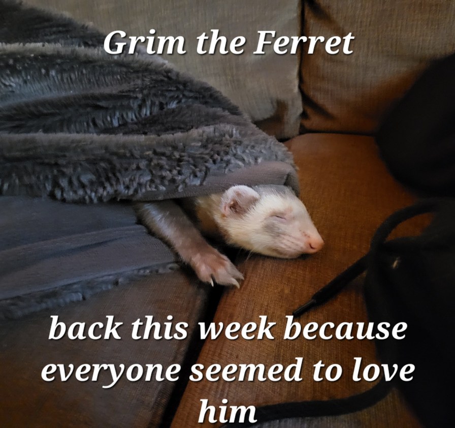 Grim The Ferret - meme