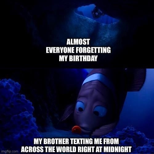 Everyone forgot my birthday but bro texted from across the world - meme