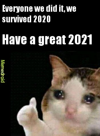 Cat says have a good 2021 - meme