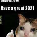Cat says have a good 2021