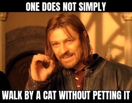 one does not simply walk by a cat - meme