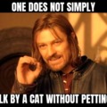 one does not simply walk by a cat