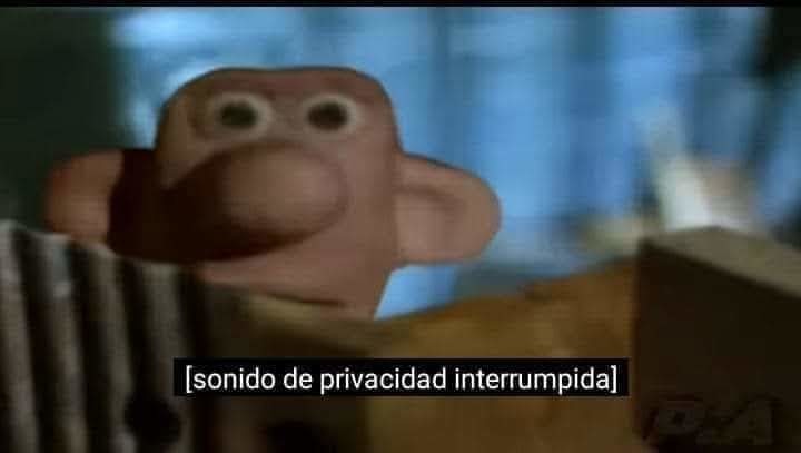 Pone cara de "Que miras bobo" xD - meme