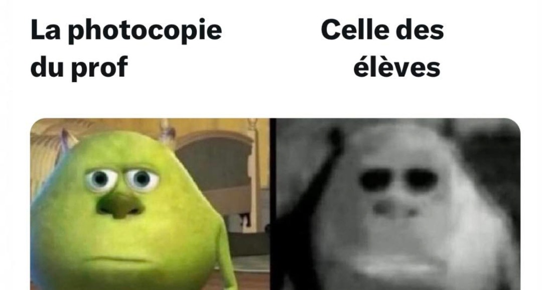 Meme de l'école