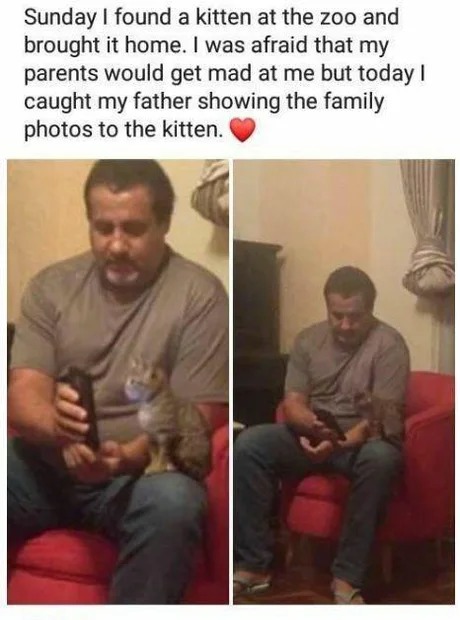 Dads love pets - meme