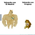 Meme del REal Madrid y el Uruguay de Valverde