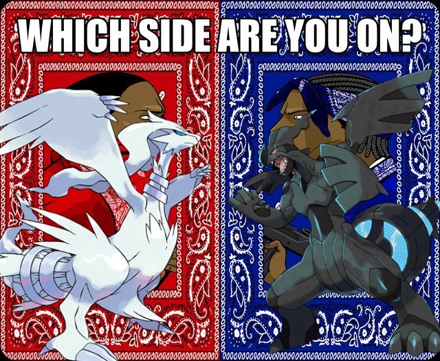 Pokemon shit also reshiram is clearly superior (because white is right) jk jk - meme